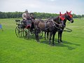 IMG_0647_edited-1