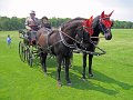 IMG_0648_edited-1
