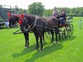IMG_0649_edited-1