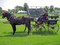 IMG_0650_edited-1