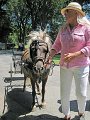 IMG_1103_edited-1