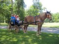 IMG_1104_edited-1