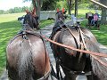 IMG_1105_edited-1