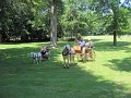 IMG_1106_edited-1