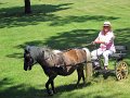IMG_1108_edited-1