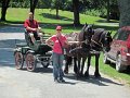 IMG_1109_edited-1