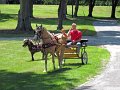 IMG_1110_edited-1