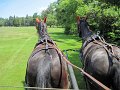 IMG_1113_edited-1