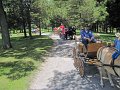 IMG_1115_edited-1