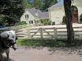 IMG_1117_edited-1