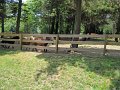 IMG_1118_edited-1