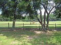 IMG_1119_edited-1