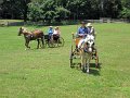 IMG_1122_edited-1