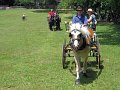 IMG_1124_edited-1