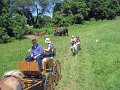 IMG_1125_edited-1