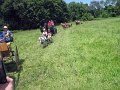 IMG_1126_edited-1