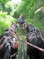 IMG_1128_edited-1