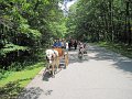 IMG_1130_edited-1