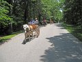 IMG_1131_edited-1