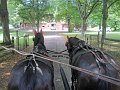 IMG_1133_edited-1