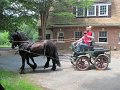 IMG_1134_edited-1