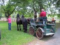 IMG_1135_edited-1