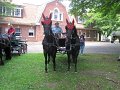 IMG_1136_edited-1