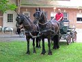 IMG_1137_edited-1