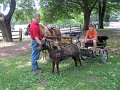 IMG_1138_edited-1