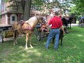 IMG_1139_edited-1