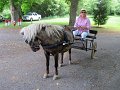 IMG_1142_edited-1