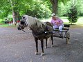 IMG_1143_edited-1