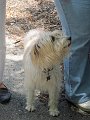 IMG_1148_edited-1