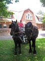 IMG_1150_edited-1
