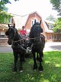 IMG_1151_edited-1