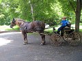 IMG_1153_edited-1