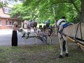 IMG_1158_edited-1