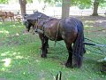 IMG_1160_edited-1