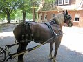 IMG_1161_edited-1