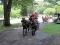 IMG_1164_edited-1