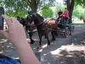 IMG_1165_edited-1