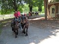 IMG_1166_edited-1