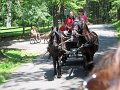 IMG_1167_edited-1