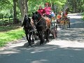 IMG_1168_edited-1