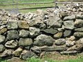 IMG_1169_edited-1