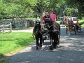 IMG_1171_edited-1