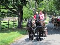 IMG_1172_edited-1