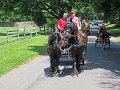 IMG_1173_edited-1