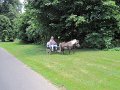 IMG_1174_edited-1