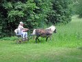 IMG_1175_edited-1